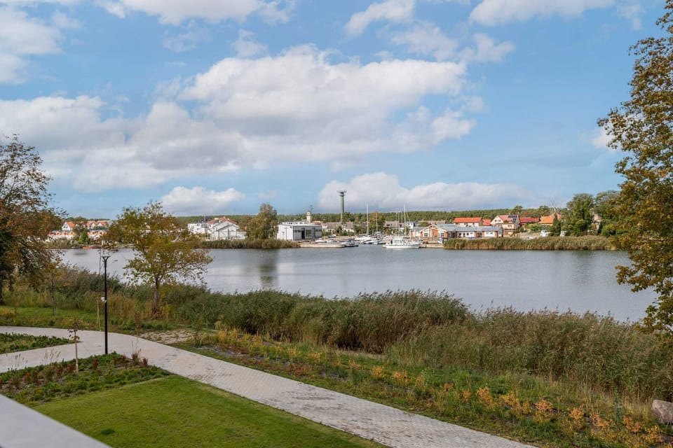 A serene waterfront view, complete with lush greenery and a clear blue sky.

