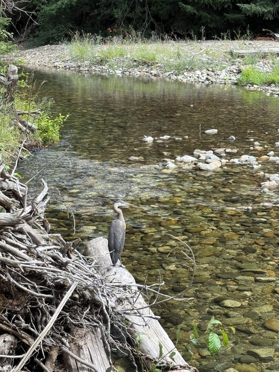 Enjoy Big Creek right in your backyard