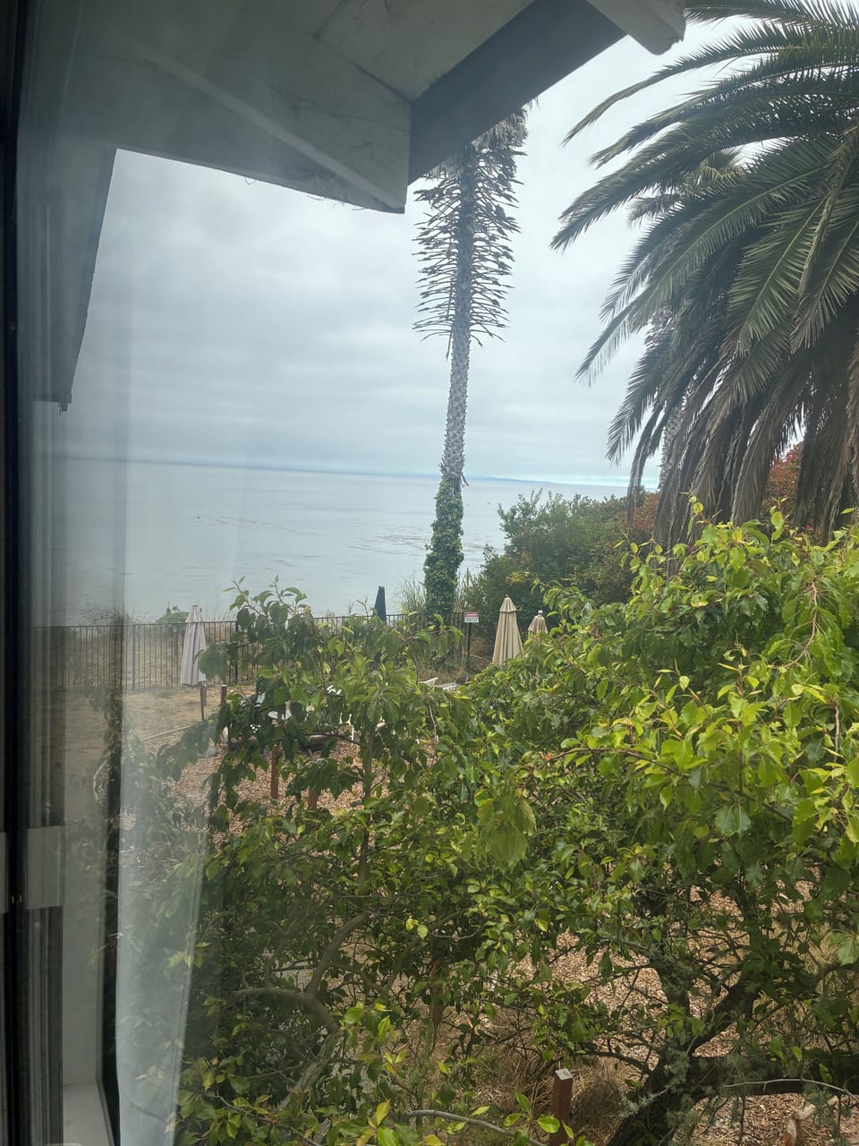 Views from the Studio