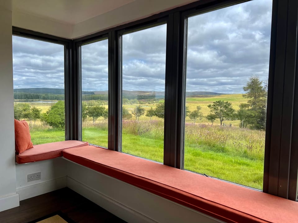 Sunroom with View