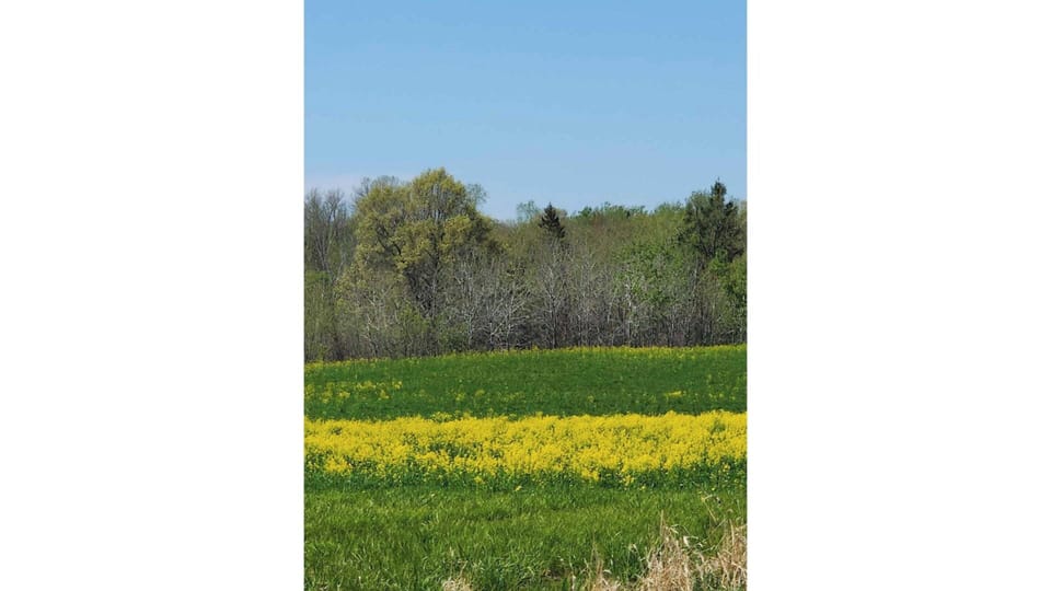 Beautiful Countryside  