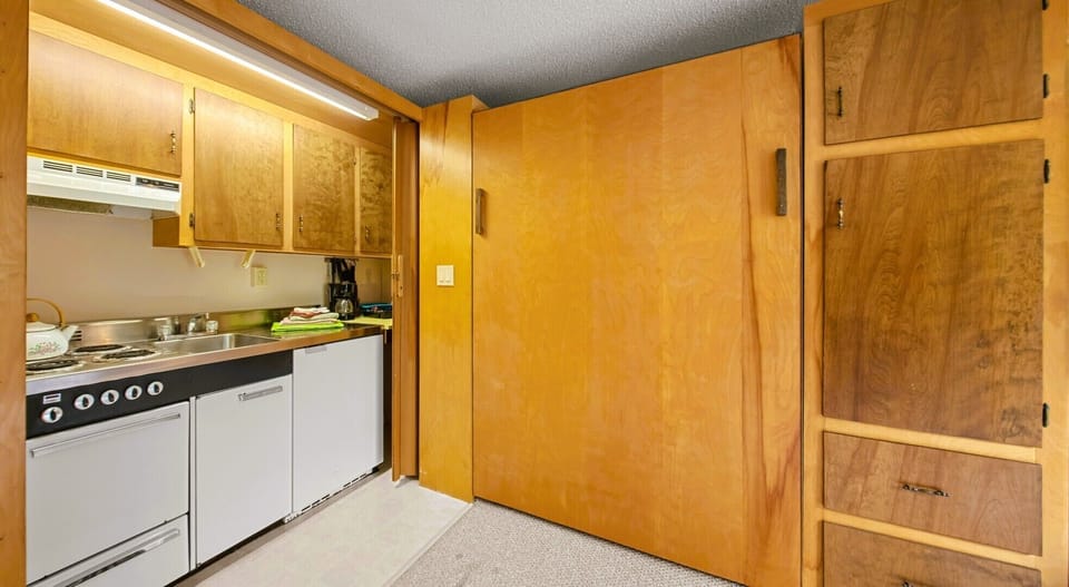 Kitchenette and Murphy Bed