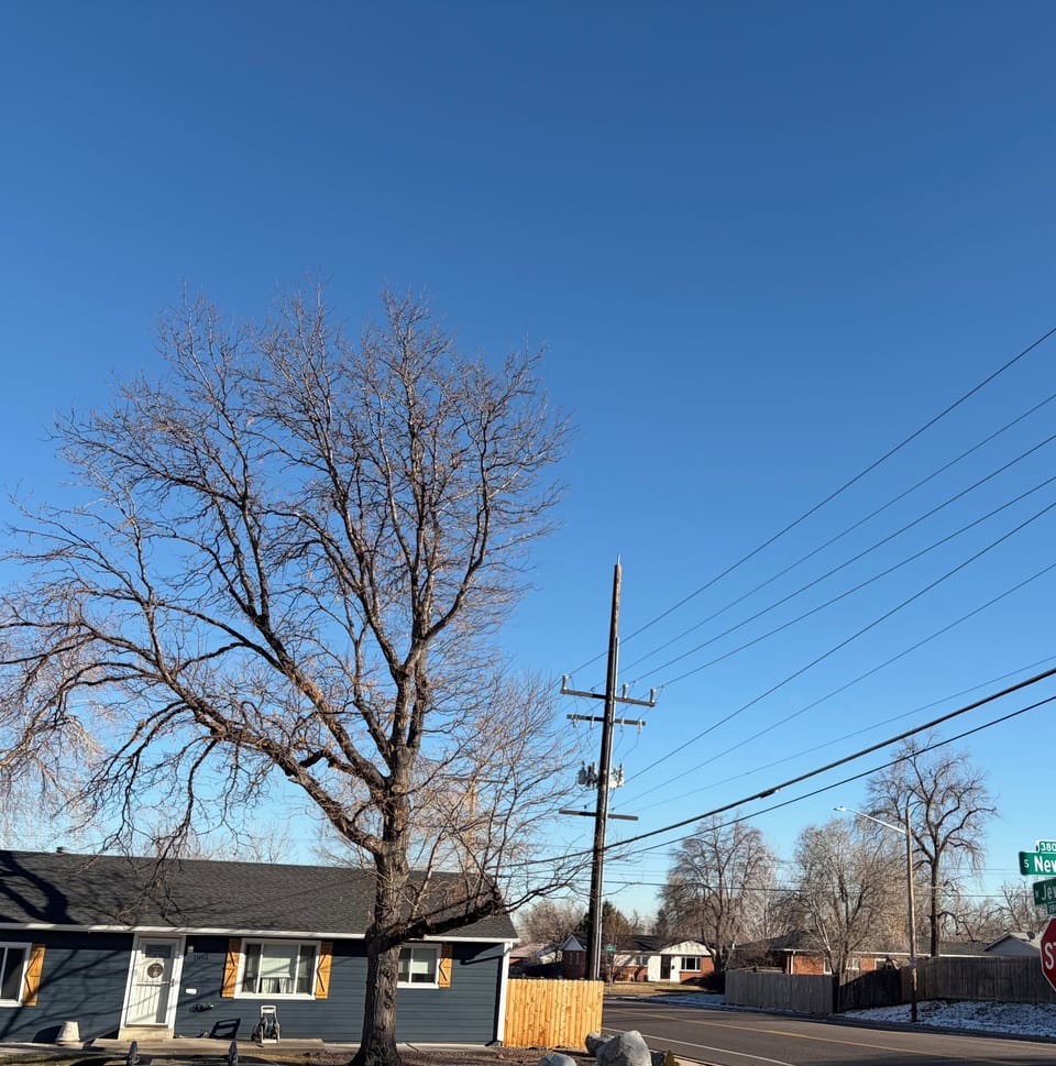 Street view from front door