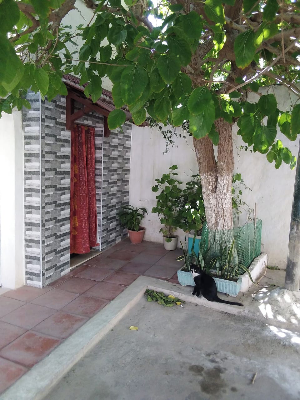 Exterior detail
