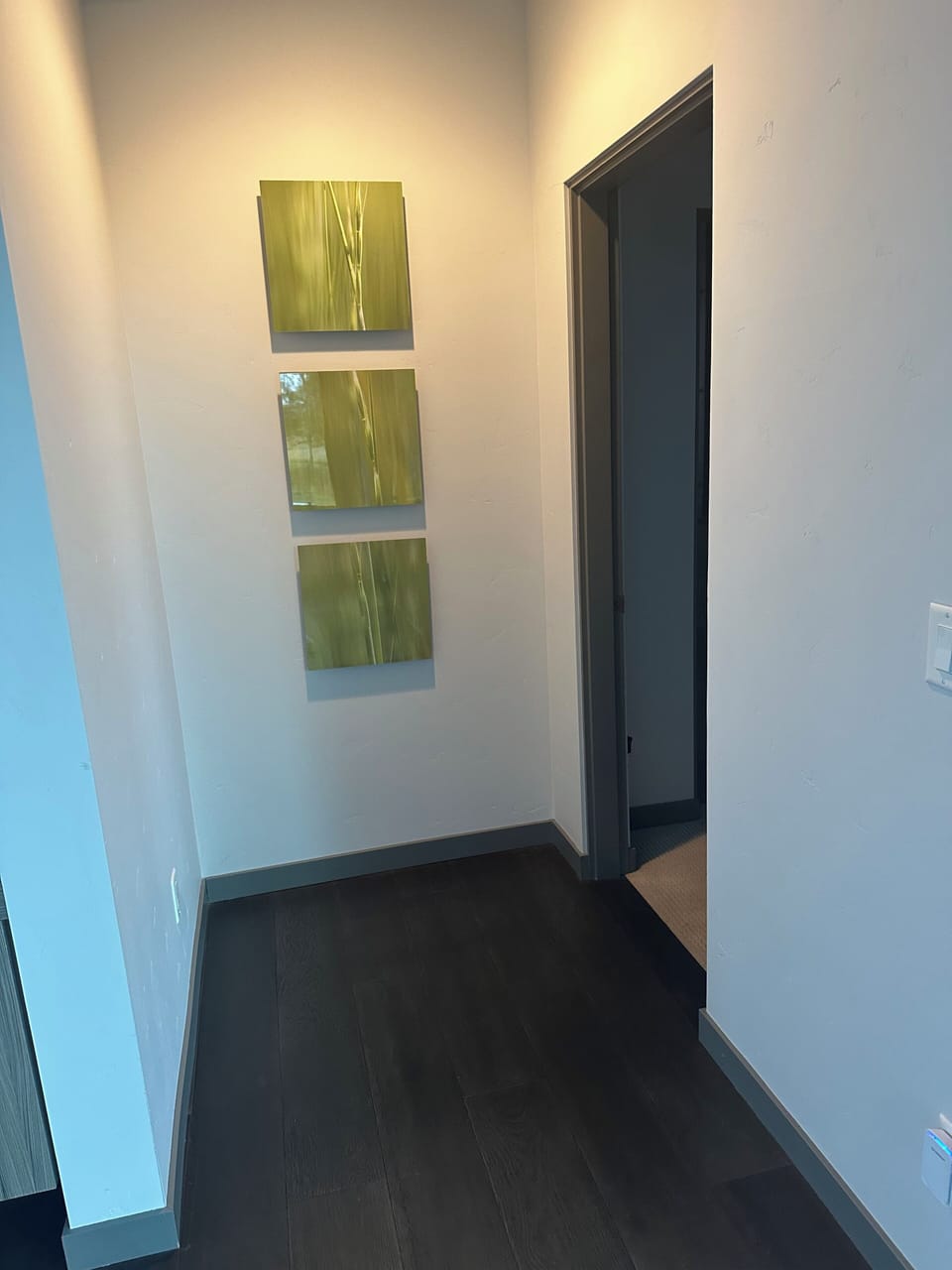 Entry to Master Bedroom 
