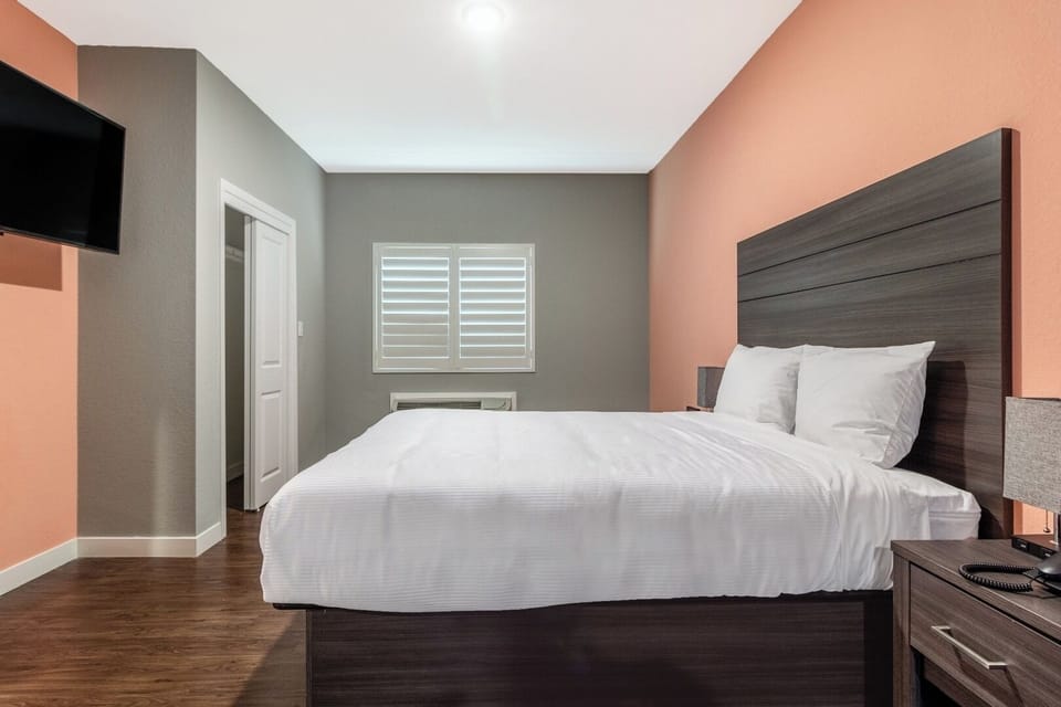Recharge in a serene king room with warm, modern finishes.
