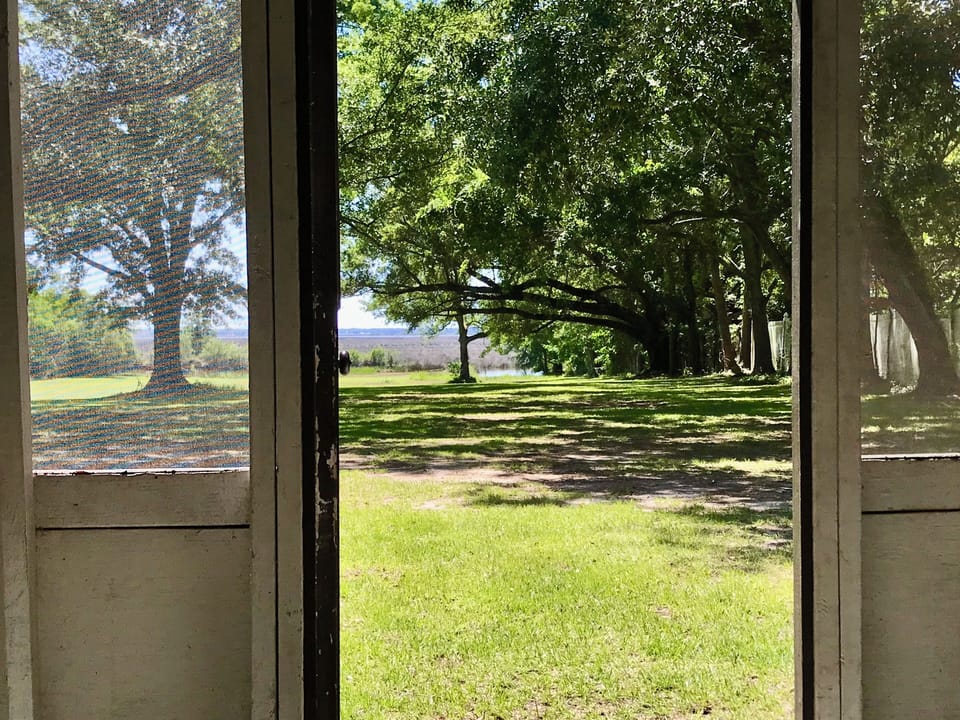 View from back porch