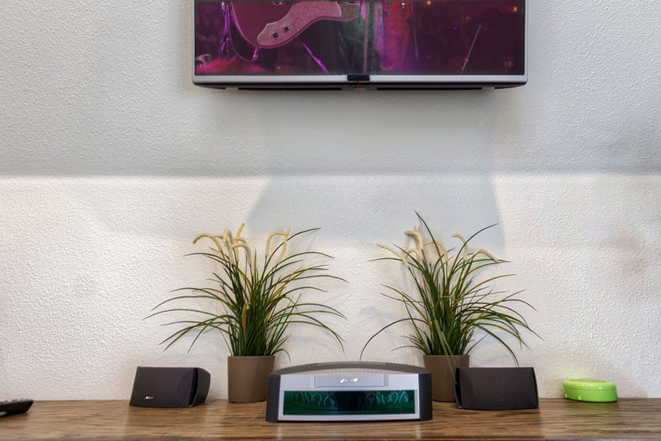 Television