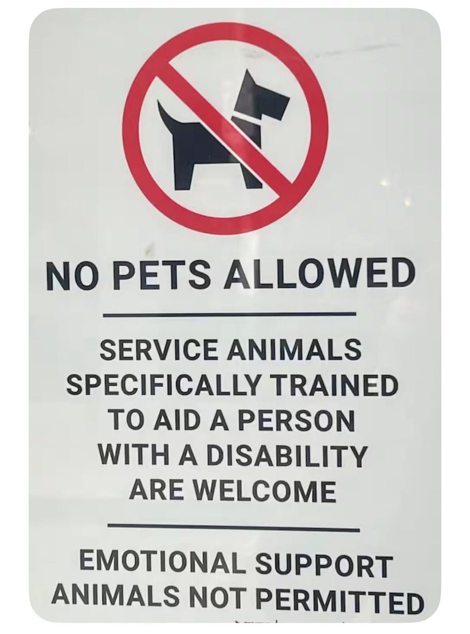No animals of any kind