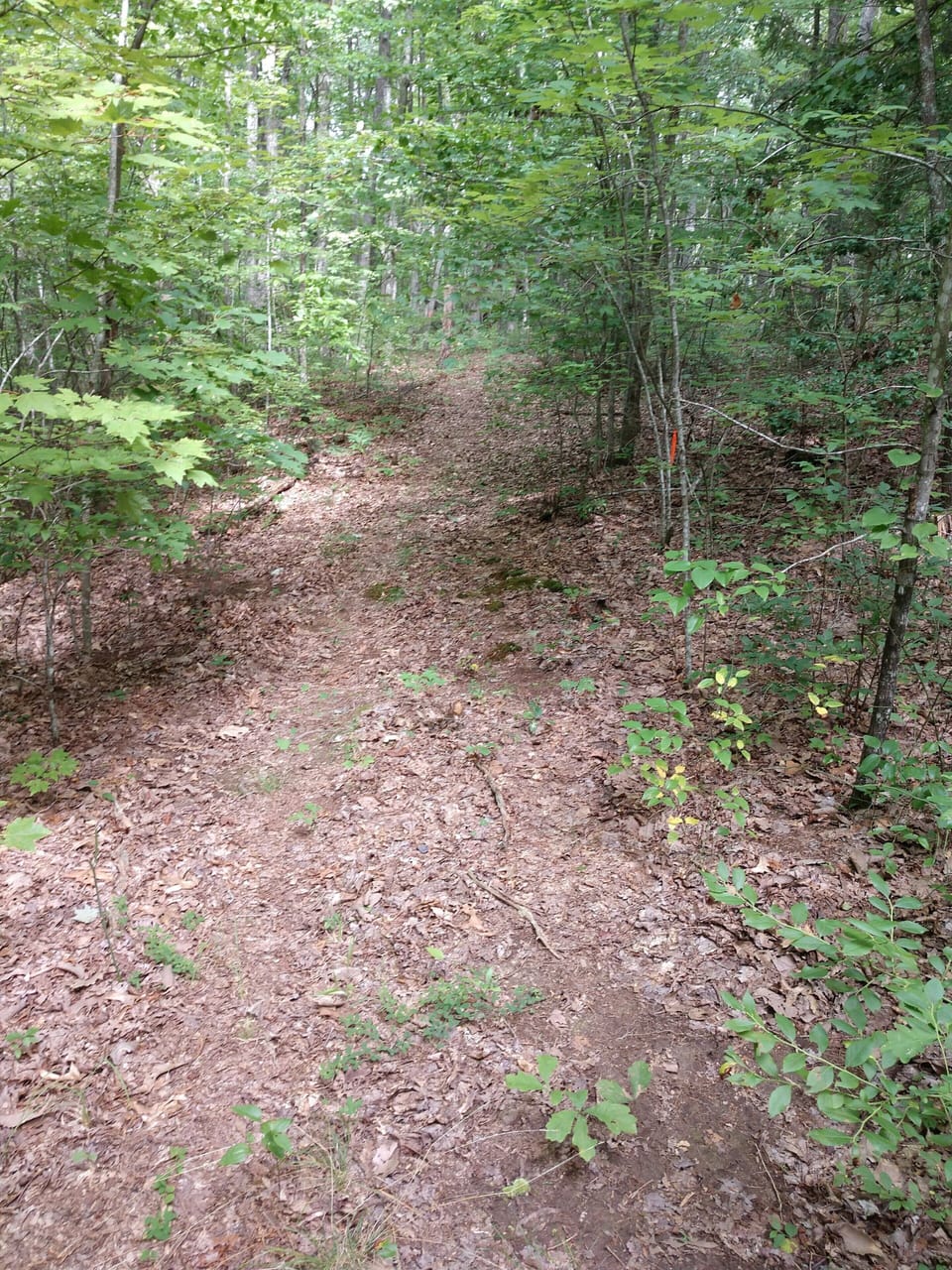 Over a mile of trails 