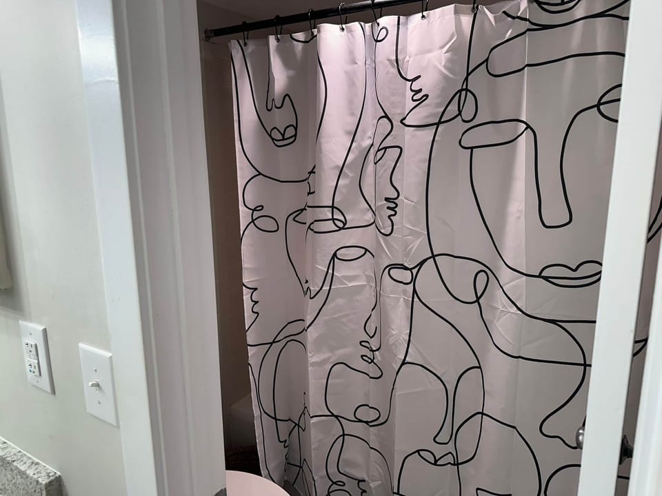 Master Bathroom Shower and Bathtub