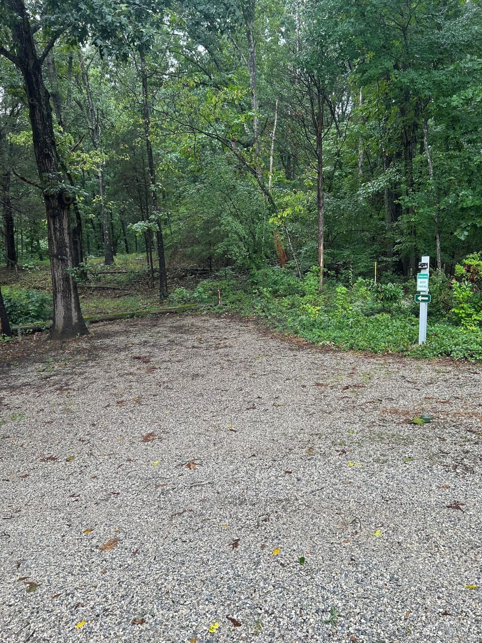 View of guest parking area.