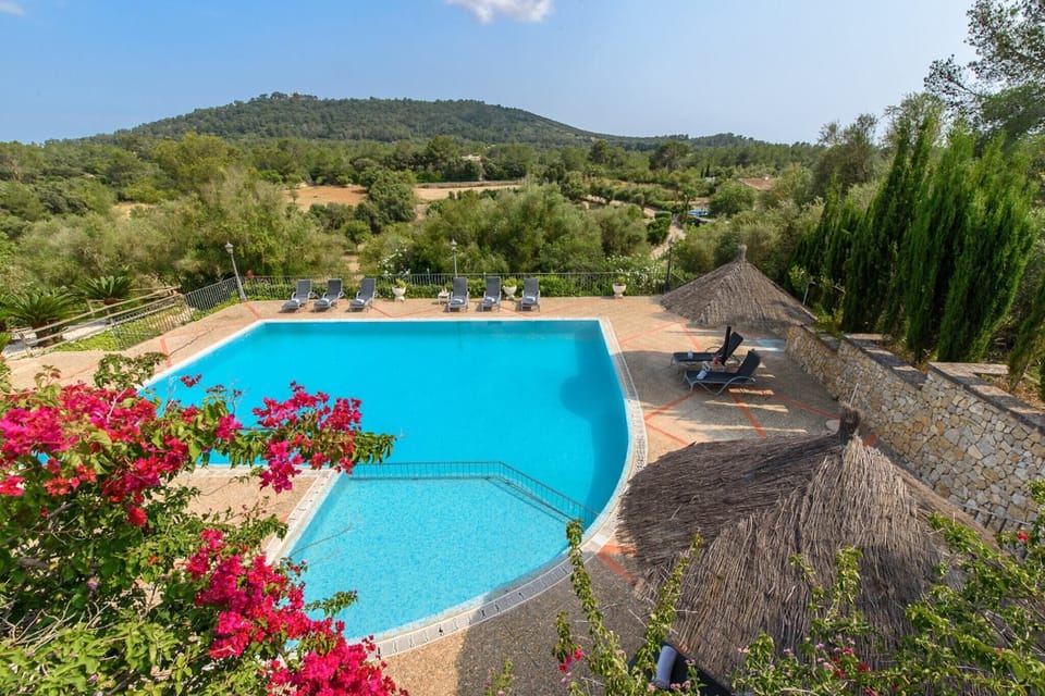 Holiday Home Swimming Pool