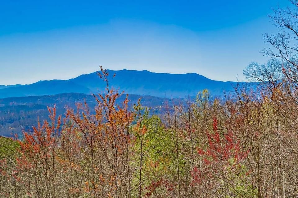 PropertyImg27