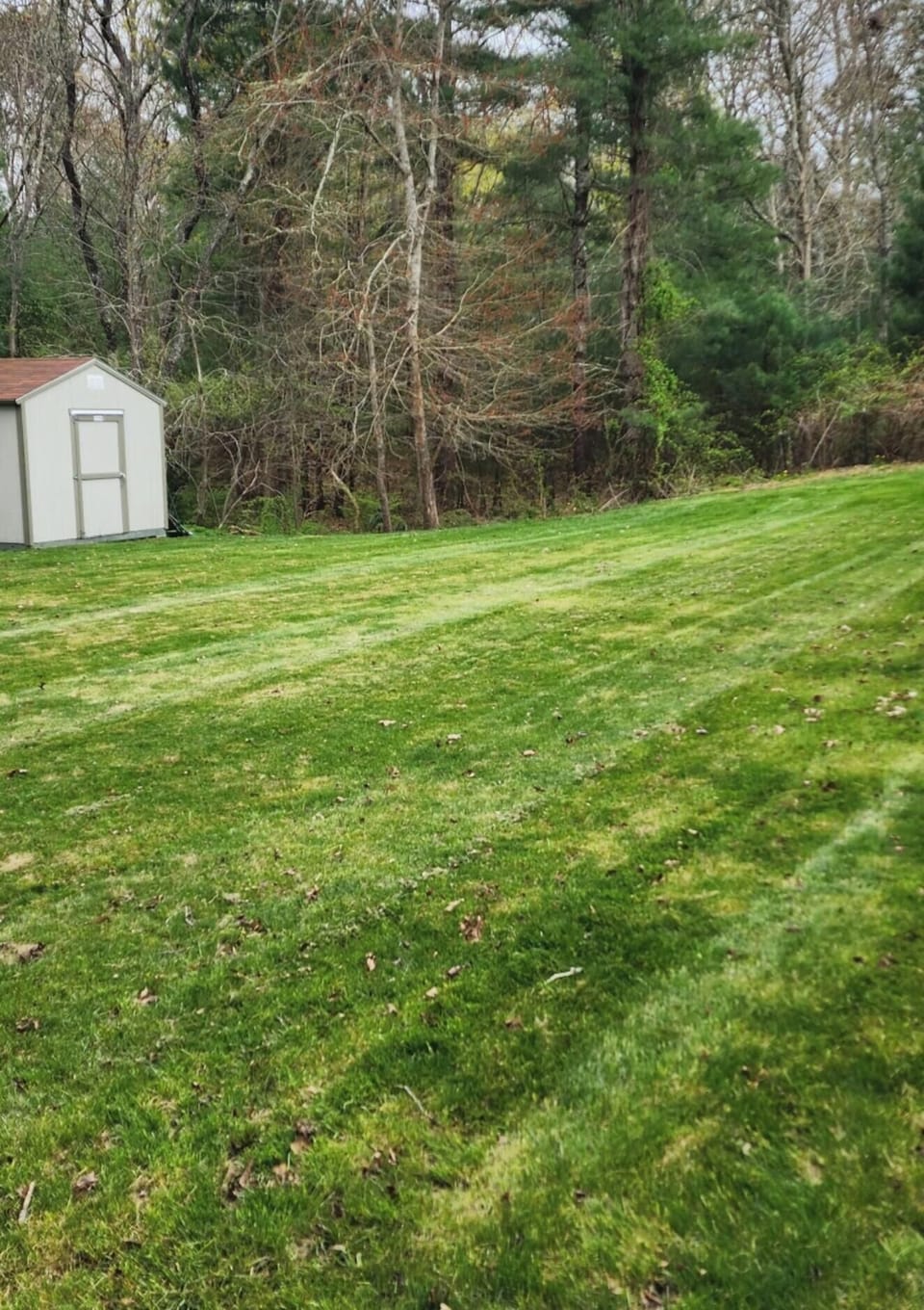 Property grounds