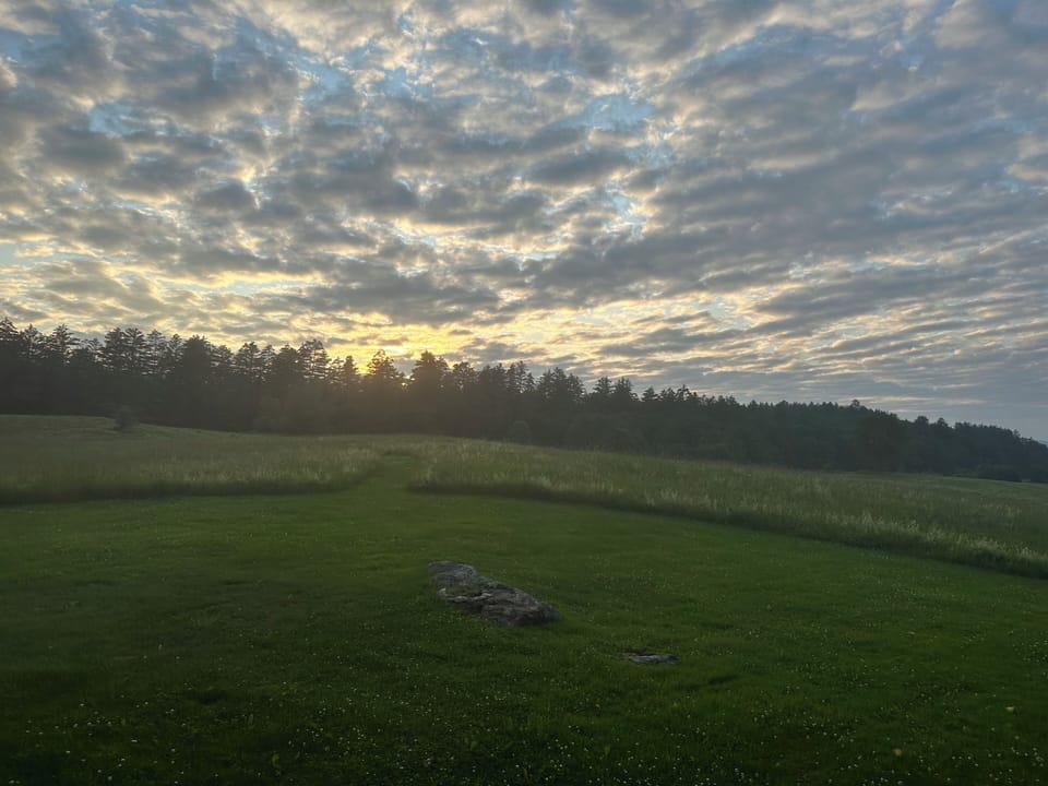 View from covered deck