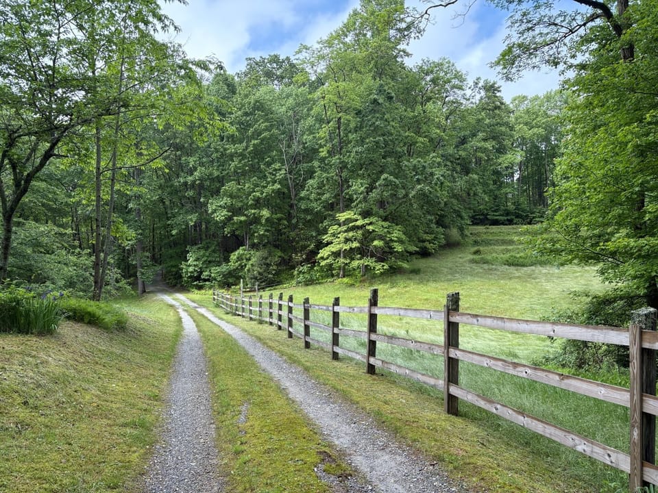 Long, private driveway alongside Camp Hazlehurst's front pasture
