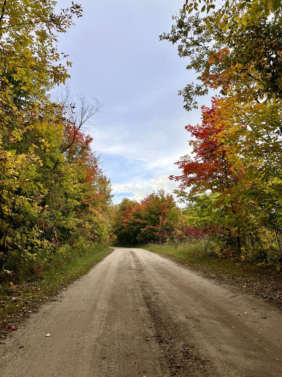 Private Road to the Cabin