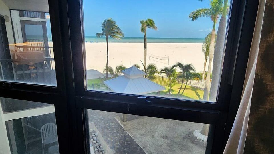 Living Room Window View