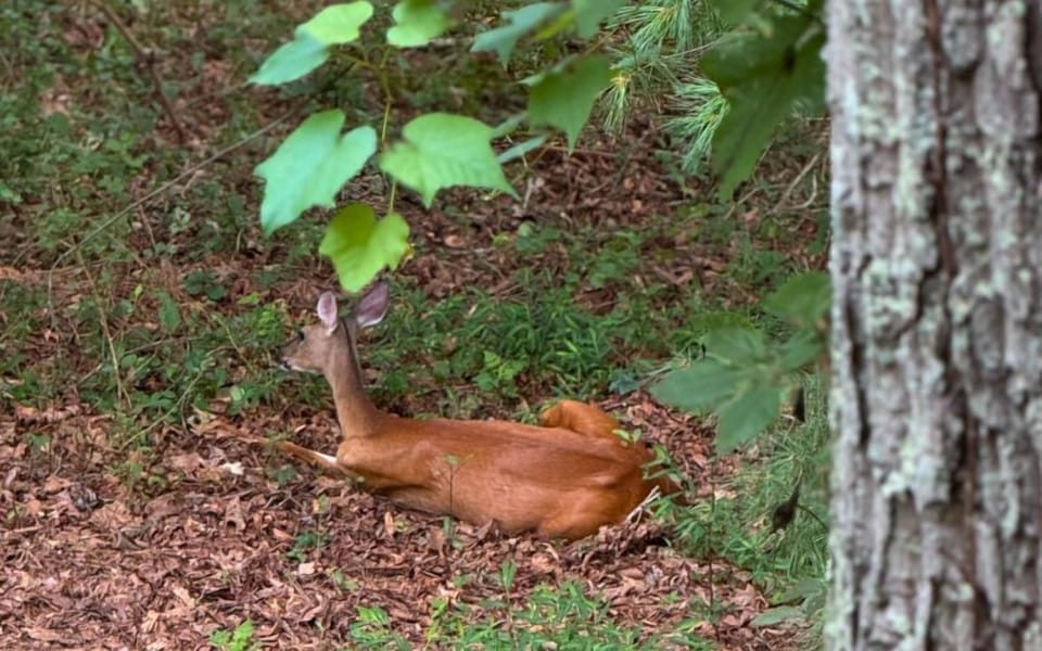 Take in peaceful nature views year-round from your private, covered outdoor space.