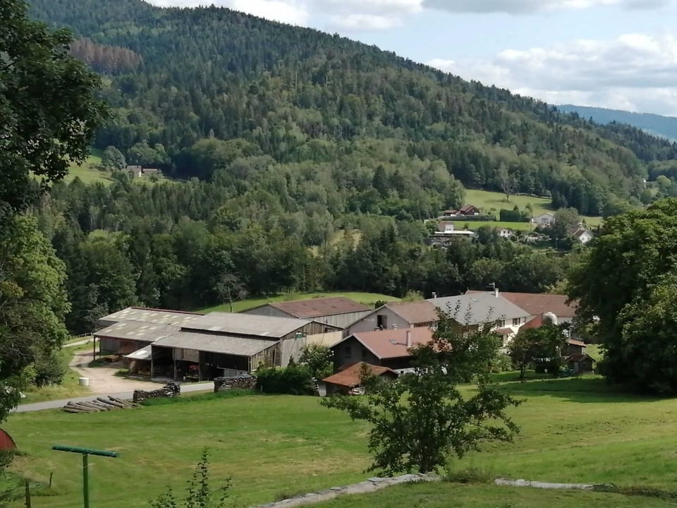 Areal view