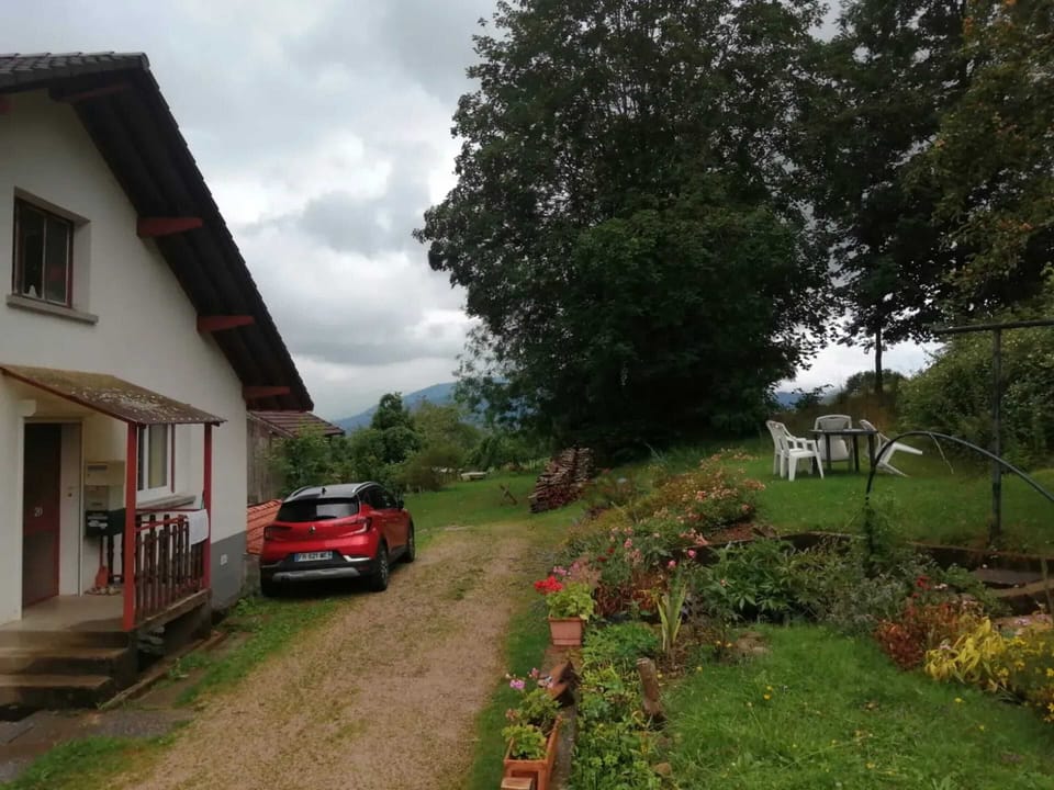 Front view