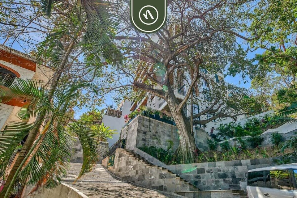 Scenic outdoor stone path and stairways shaded by large tropical trees and beautiful green landscaping.