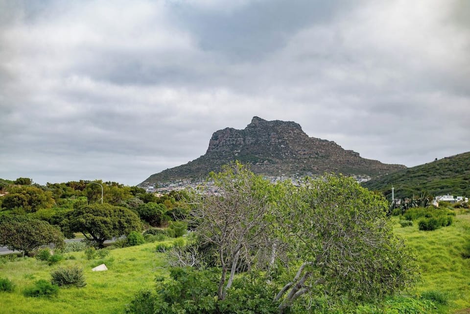 Breakers Apartment Near Hout Bay Harbour (17253)