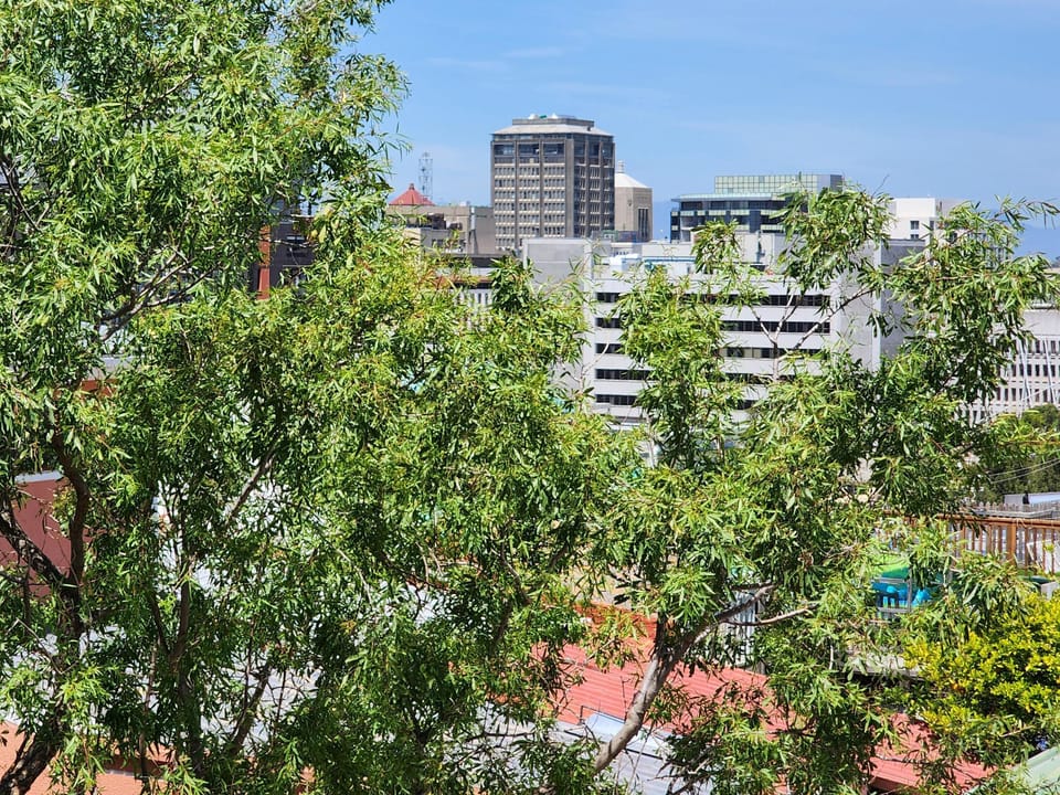 Bo-Kaap 2BD Beauty w/Patio&Views (25470)