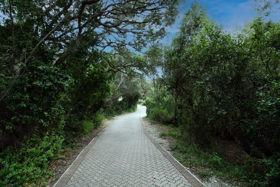 Seaside Escape at The Dunes: Walk to Beach & Braai (27319)