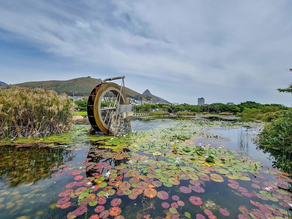 Green Point Living with Stadium View (11710)