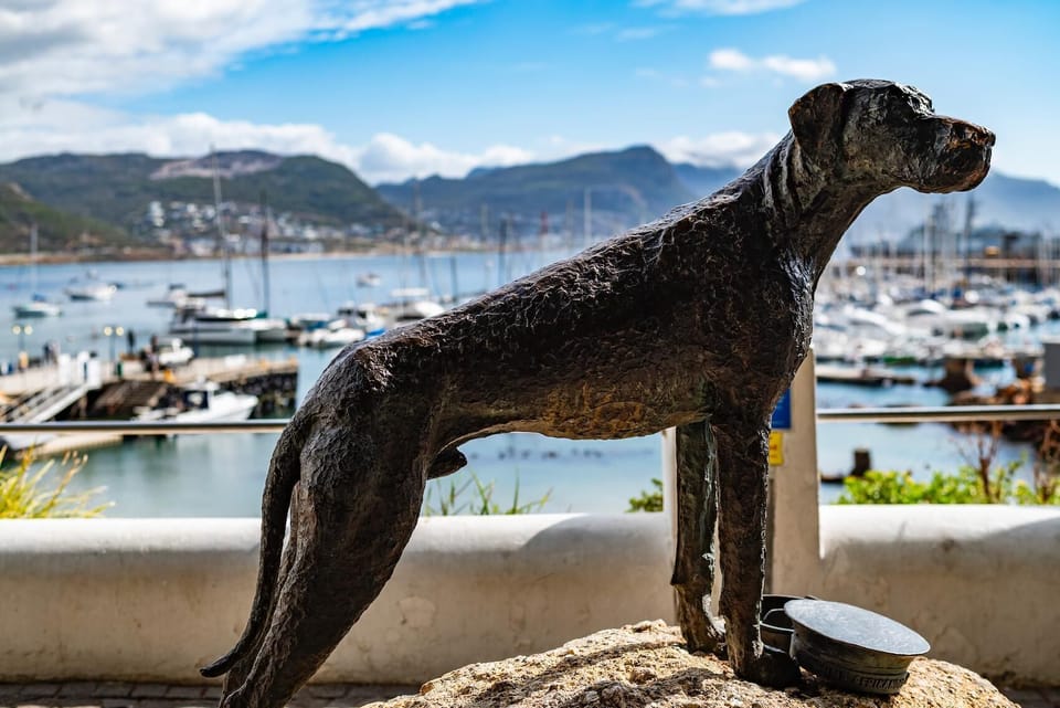 Family Room in Historic Simons Town Boutique Hotel (24609)