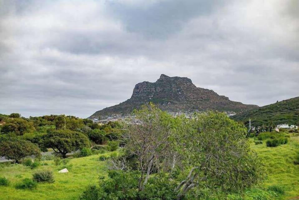 Apartment near Hout Bay Harbour ! (8292)