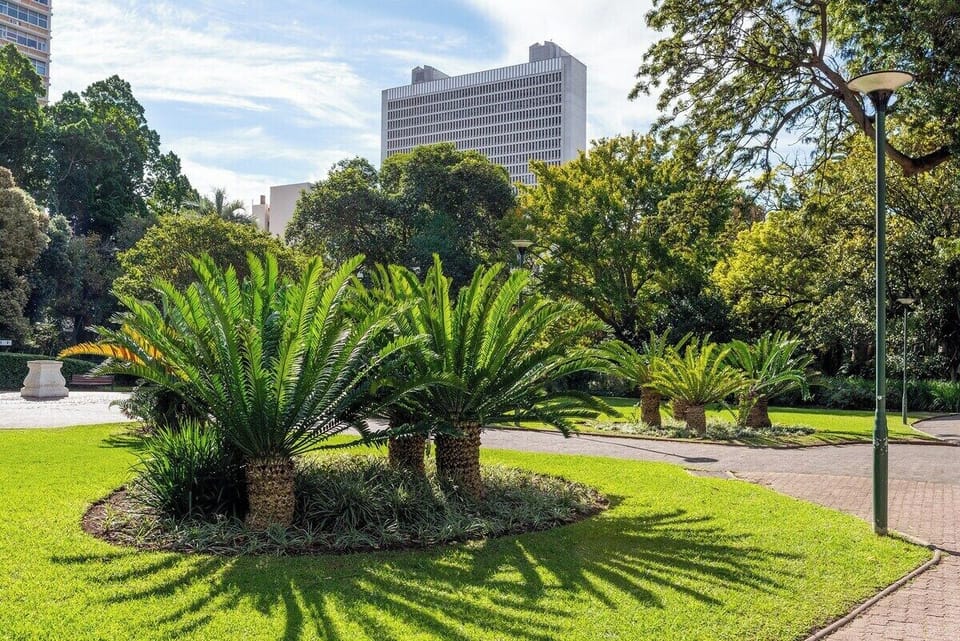 City Views of the CBD and surrounds
