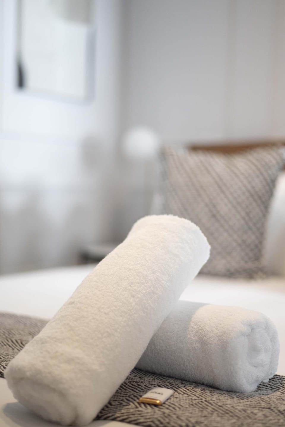 Venice House Studio in Cape Town CBD (27546)