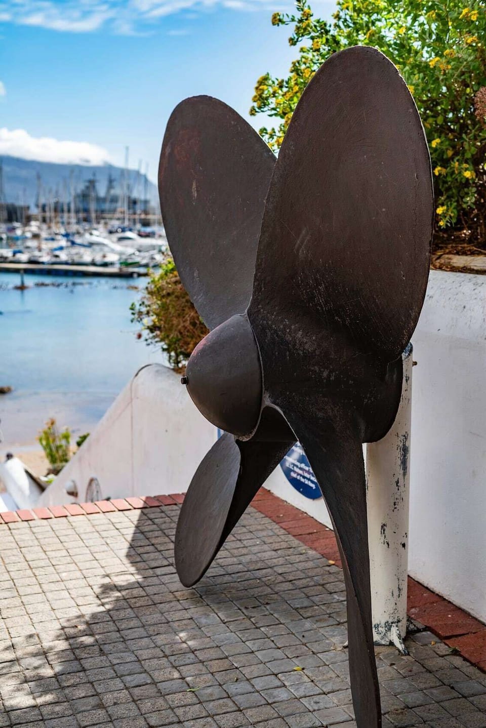 Activities & Attractions