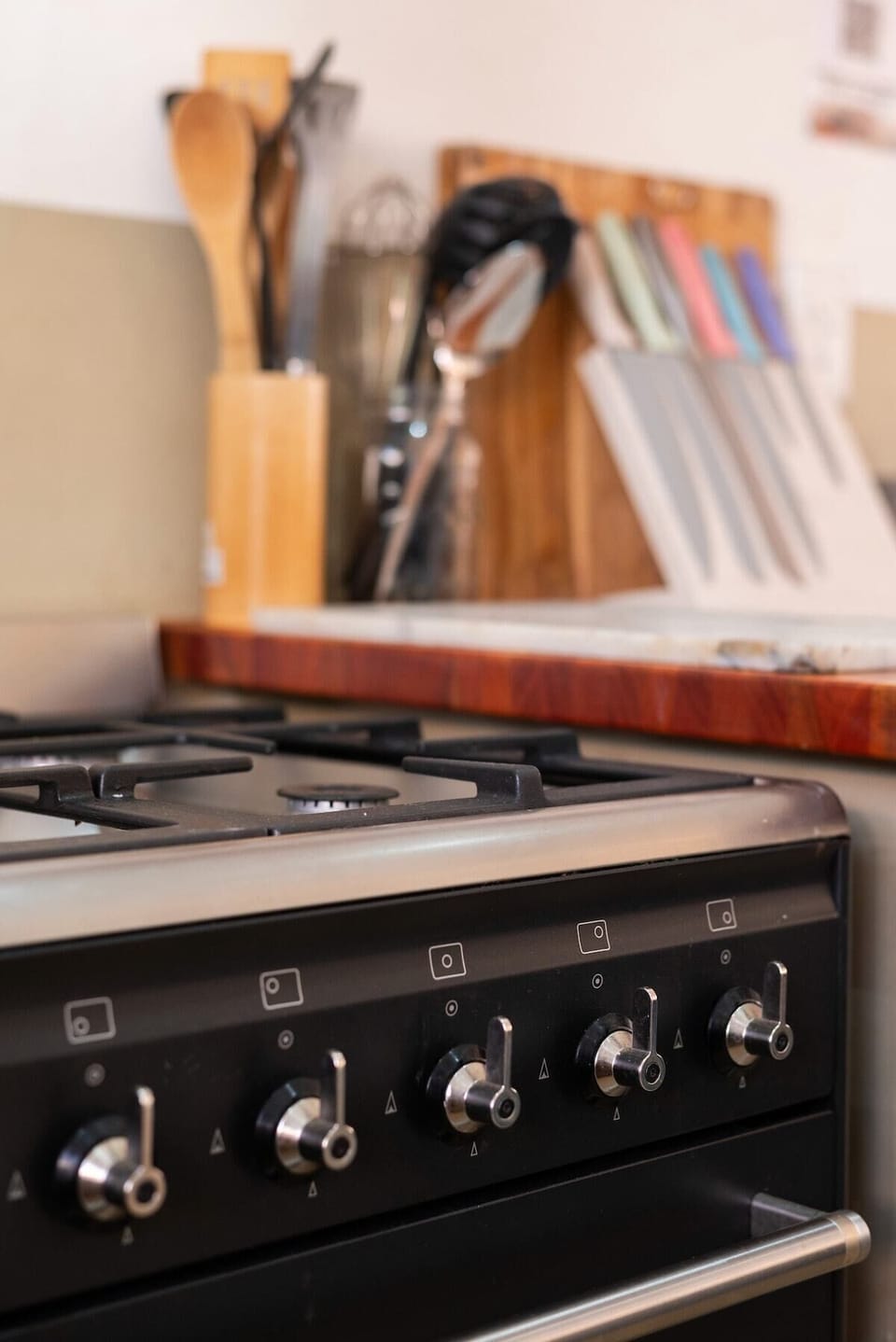 Spacious& quiet home in the suburbs (16717)