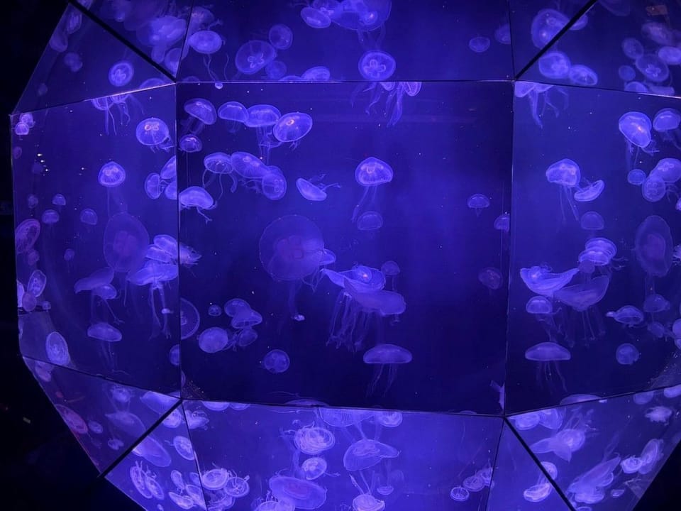 The Deep
