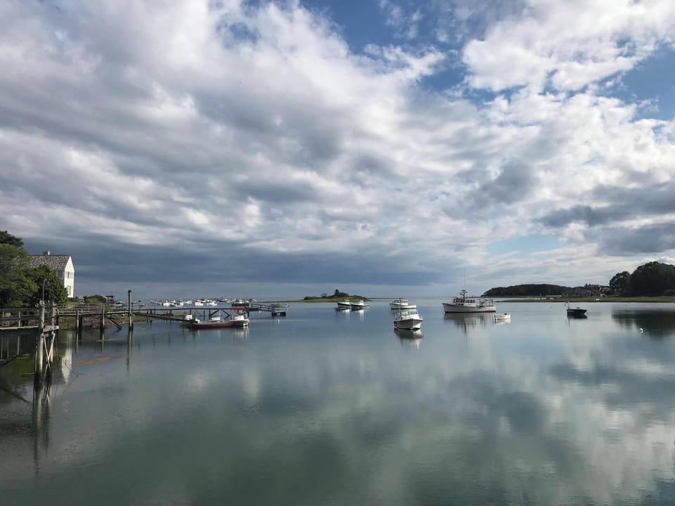 View up the harbor from the pier