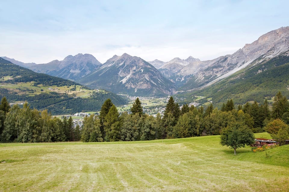 Miscellaneous