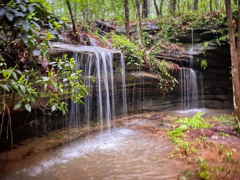 This seasonal waterfall is located in the center of the 14 acre property.