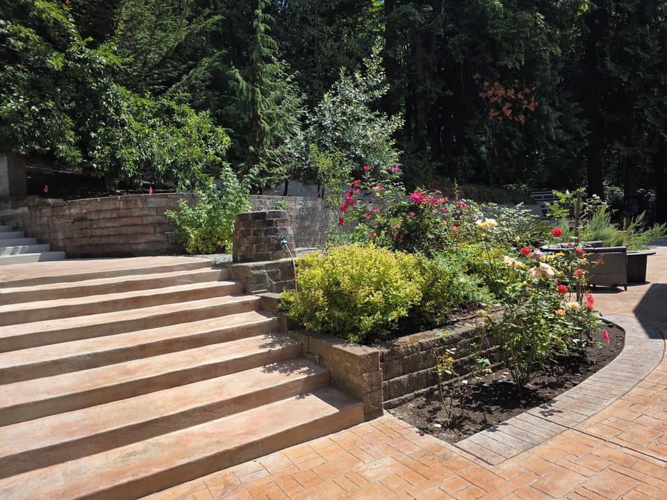 The garden view.