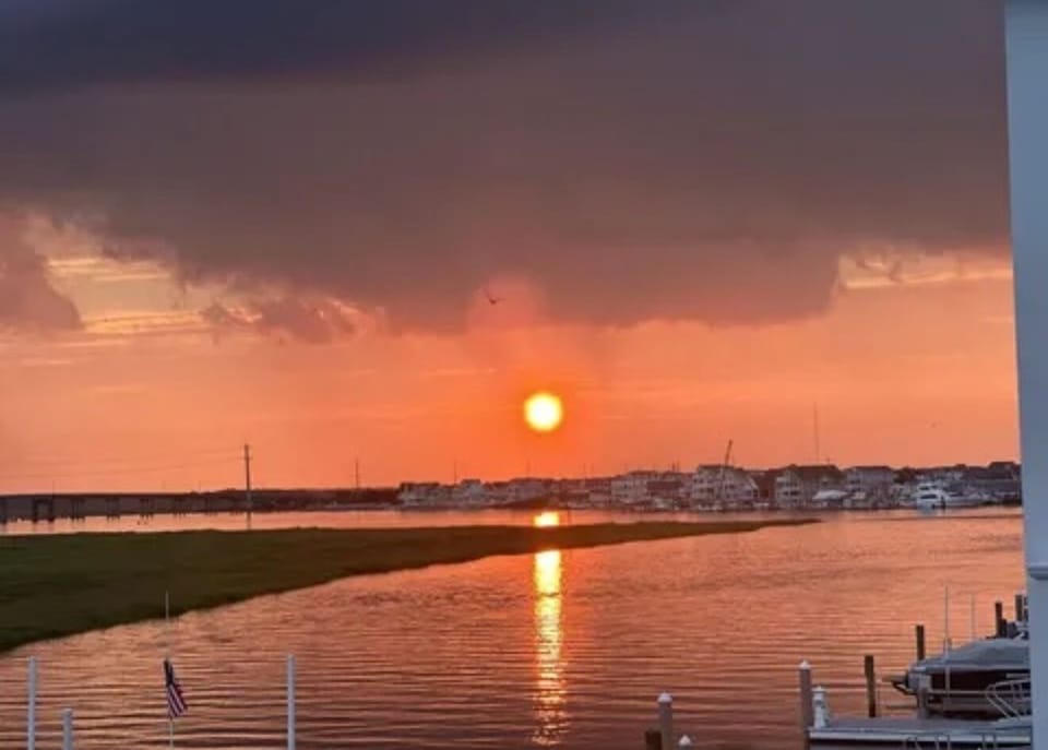 THIS is the reason we love it here