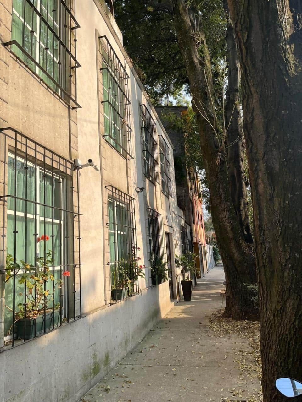 Fachada san pedro