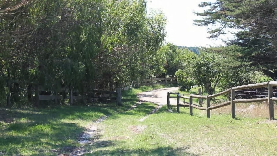 The long driveway in