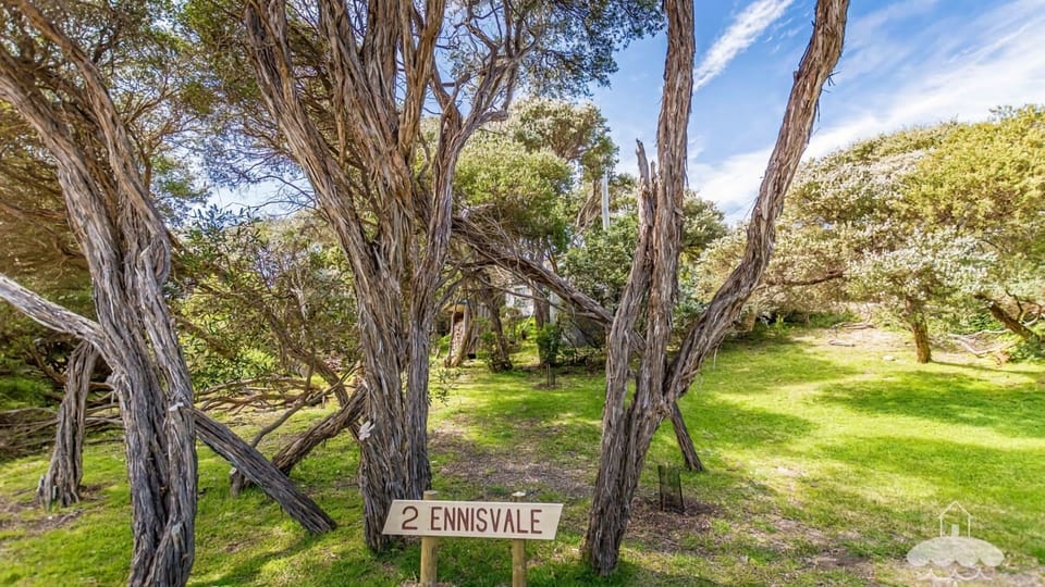 Hidden amongst the trees