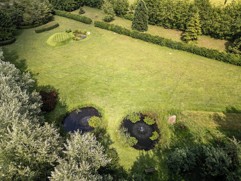 Image 17