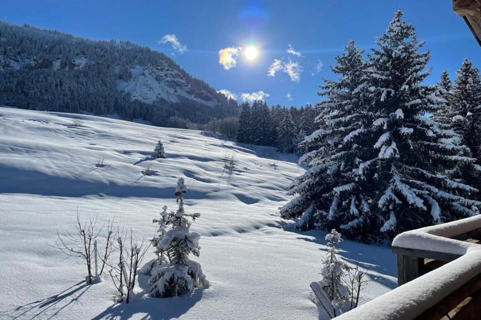 View from Holiday Home [winter]