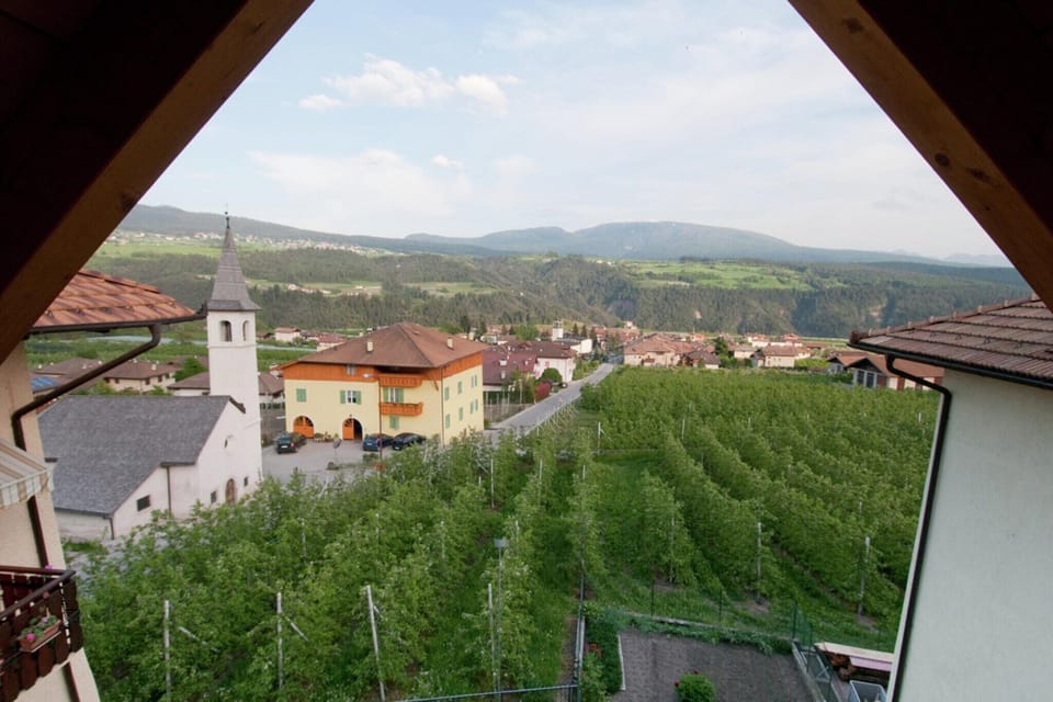 View from Holiday Home [summer]