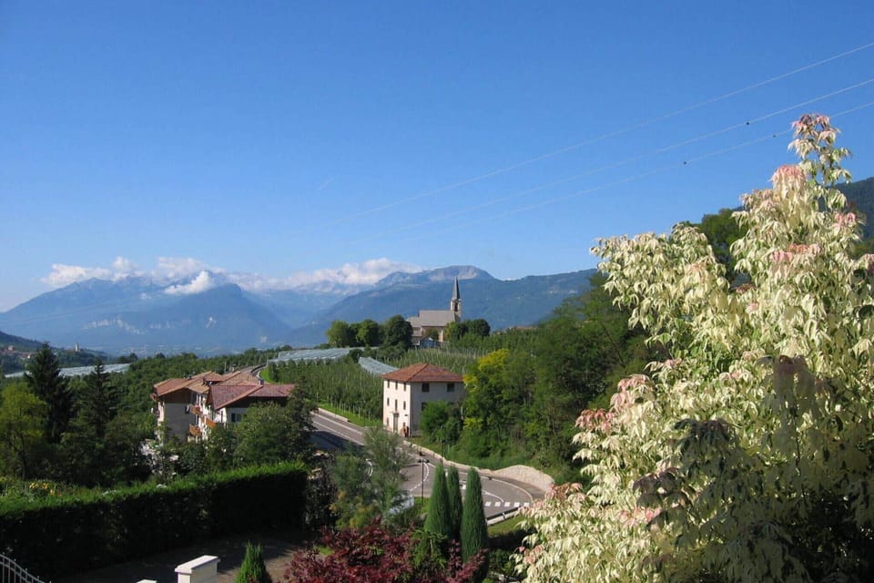 Immediate Surroundings [summer] (<1 km)